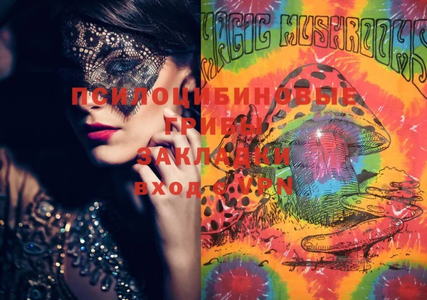 PSILOCYBIN Нефтегорск