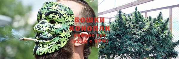 прущие крисы Нея