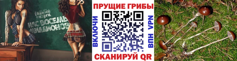 Галлюциногенные грибы мицелий  Купить закладки  Зверево 